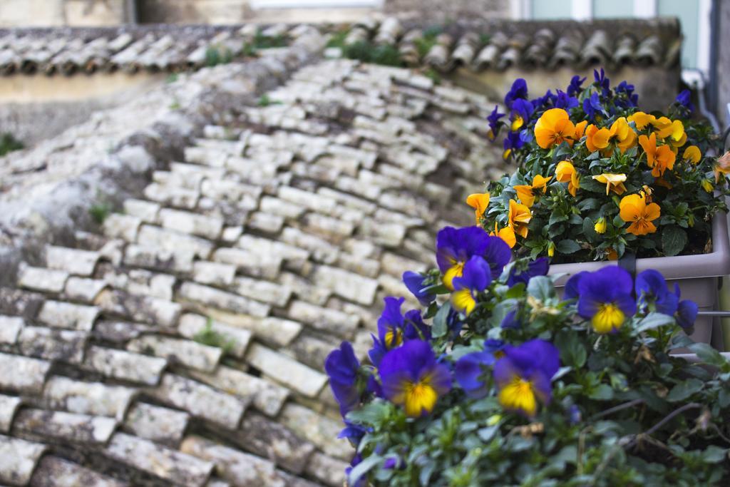 Le Violette Villa Matera Buitenkant foto
